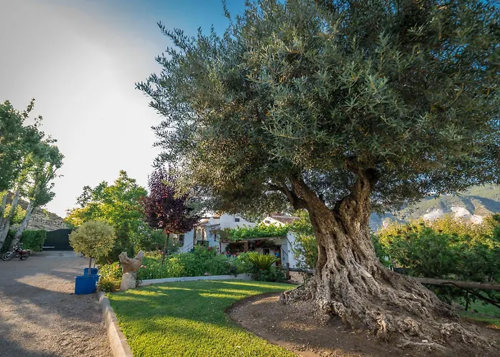 Appartement Al Agia - Molino Misqueres De Padul